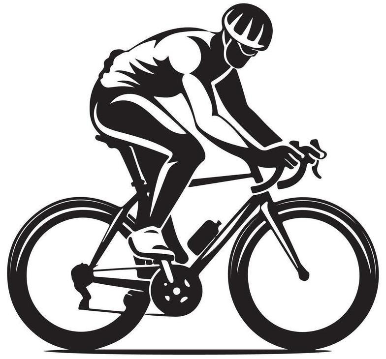 Progress || Schwalbe || Mavic Ventas